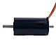 28V 80mNm 140.73W 6.31A Round Ф32x61mm  Brushless Coreless Motor - 32CL60-28-P2-16800 | StepperOnline AU