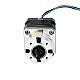Nema 17 Stepper Motor Bipolar L=34mm w/ Gear Ratio 5:1 Planetary Gearbox - 17HS13-0404S-PG5 | StepperOnline AU