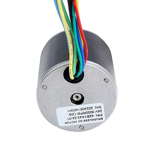 24V 3000RPM 0.04Nm 13W 1.00A Φ42x43mm Brushless DC Motor - 42BYA43-24-01 | StepperOnline AU
