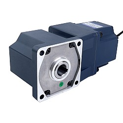48V 200W 16.67RPM Geared BLDC Motor 60Nm(8496.7oz.in) 180:1 Right Angle Gearbox