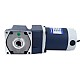 Brushed 24V 60W 8.00Nm(1132.90oz.in) 30RPM w/ 100:1 Right Angle Gearbox DC Gear Motor - F4D60-24GN-30S/4GN100RC | StepperOnline AU