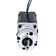 Nema 17 Stepper Motor Bipolar L=60mm w/ Gear Ratio 10:1 MG Series Planetary Gearbox - 17HS24-2104S-MG10 | StepperOnline AU