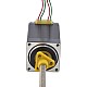 NEMA 11 External Acme Linear Stepper Motor 1.0A 46mm Stack Screw Lead 2.54mm(0.1) Lead Length 150mm - 11E18S1004GD5-150RS | StepperOnline AU