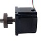 NEMA 34 External Acme Linear Stepper Motor 5.5A 76mm Stack Screw Lead 6.35mm(0.25) Lead Length 250mm - 34E31S5504RK5-250RS | StepperOnline AU