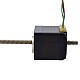 NEMA 11 Non-Captive Acme Linear Stepper Motor 1.0A 32.2mm Stack Screw Lead 2.54mm(0.1) Lead Length 200mm - 11N13S1004GD5-200RS | StepperOnline AU