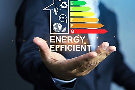 Environmental Sustainability